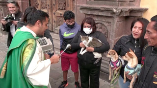В Мексике благословляют домашних питомцев в День святого Антония