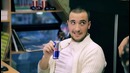 Red Bull Wings Team Tashkent