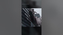 Чистая победа CGI: Энтузиаст против крупных студий #cgi #кино #shorts