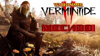 Warhammer Vermintide 2 – Месиво! (перс. Ассасин)