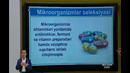 9 sinf. Seleksiya va biotexnologiya