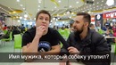 Плачу за ответы по литературе 5 класса! школьные вопросы за деньги. негодяй tv