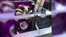BoostLust. Amazingly INSANE TURBOS! HIGH BOOST! rotary, honda integra, s2000, Patrol