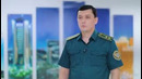 Чиройли, харидоргир давлат рақам белгилари ҳақида маълумотлар