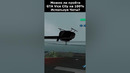 РАЗРУШИЛ ГЛАВНЫЙ МИФ ПРО ЧИТЫ в GTA Vice City #shorts #gta #gtavicecity