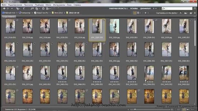 Рабочие среды и настройка Bridge