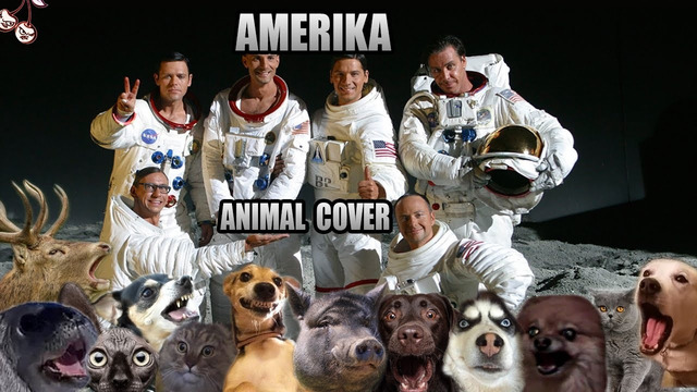 Rammstein – Amerika (Animal Cover)