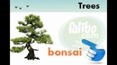 English Vocabulary: Trees