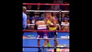Ломаченко – лучший #бокс #boxing #top #ломаченко