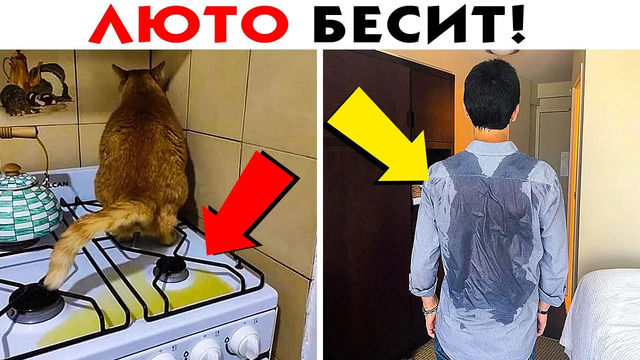 55 люто бесящих вещей, которые всех раздражают