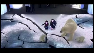Дополнительная реальность Белые медведи