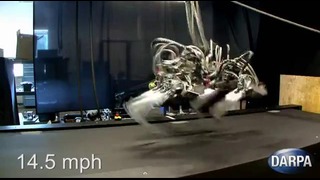 Создан самый быстрый робот