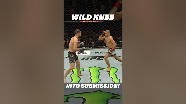 Wild Knee Strike into Submission Win