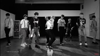 (Special video) SEVENTEEN – Very nice (dance practice ver.)
