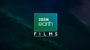 BBC. Земля: Один потрясающий день 720р