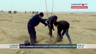 100 000 деревьев: UzAuto создает лесопарк в Джизакской степи