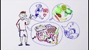 Как избежать болезни альцгеймера؟ — Научпок