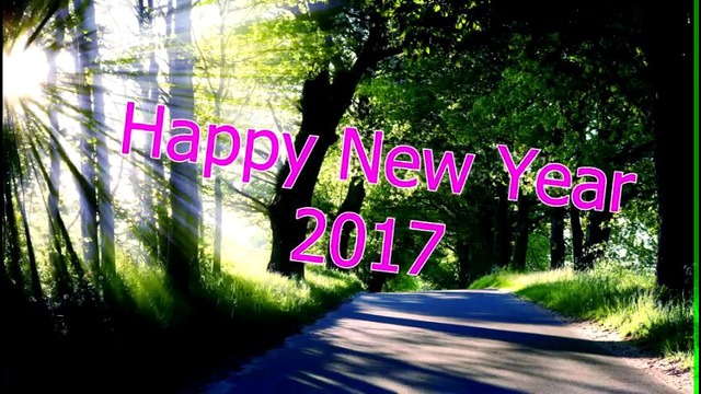 Поздравляю Вас с Новым 2017 годом