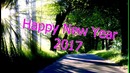 Поздравляю Вас с Новым 2017 годом
