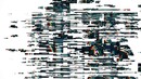 Жесть ради хайпа [netstalkers]