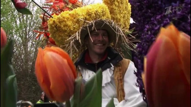 Непутёвые заметки – КЁКЕНХОФ – королевский парк цветов. Нидерланды