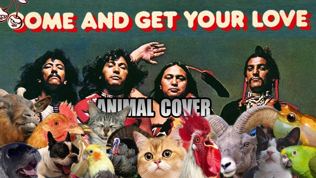 Redbone – Come and Get Your Love (Animal Cover)