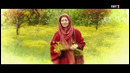 Qushlar ila sayohat 8
