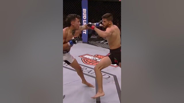Yair Rodriguez is a Knockout ARTIST!! #mma #ufc