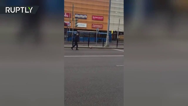 Осторожно, злая утка: птица напала на человека