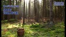 Savat toza bo’ldi | Сават тоза бўлди