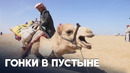 Скачки на верблюдах возвращаются в Египет