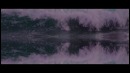 This Wild Life – Pull Me Out (Official Video 2016!)