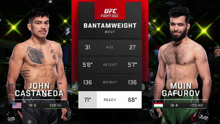 UFC Vegas 74: Кастанеда VS Гафуров
