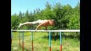 Bogdan vs HANNIBAL! турник, брусья