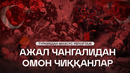 АЖАЛ ЧАНГАЛИДАН ОМОН ЧИҚҚАНЛАР — ТУРКИЯДАН МАХСУС РЕПОРТАЖ