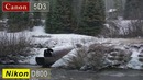 Canon 5D Mark III vs Nikon D800 (перевод HDSLRUS)
