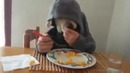 Пес ест как человек