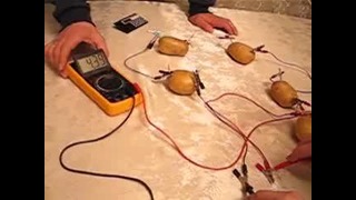 Электричество из картошек