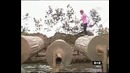 Японские забавы 12