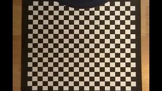 Иллюзия иллюзии