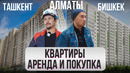 Как ВЫГОДНО снять / купить КВАРТИРУ? – ГОРОДА. Ташкент, Бишкек, Алматы @gorod-dorog