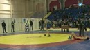 Драка на соревнований по вольной борьбы. ВОЛЬНАЯ БОРЬБА