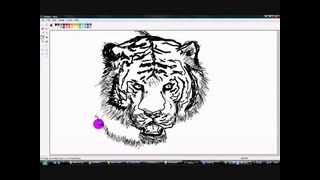 Как в Paint нарисовать Тигра