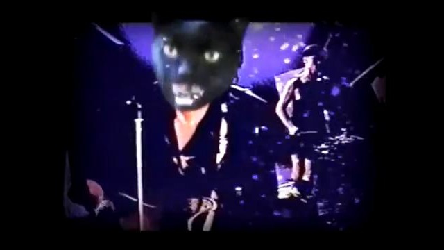 Enjoykin – Кино – Котэ по имени Солнце