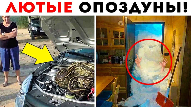 55 Лютых Опоздунов, Которые Постоянно Опаздывают