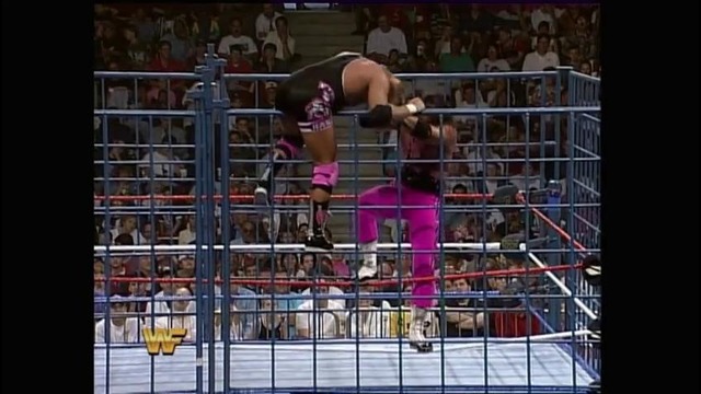 Bret Hart vs Owen Hart WWF Championship – SummerSlam 1994