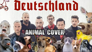 Rammstein – Borkland (Animal Cover)