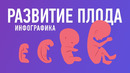 Как зарождается человек