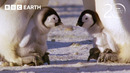 30 Minutes of Fascinating Planet Earth Moments | 20 Years of Planet Earth | BBC Earth