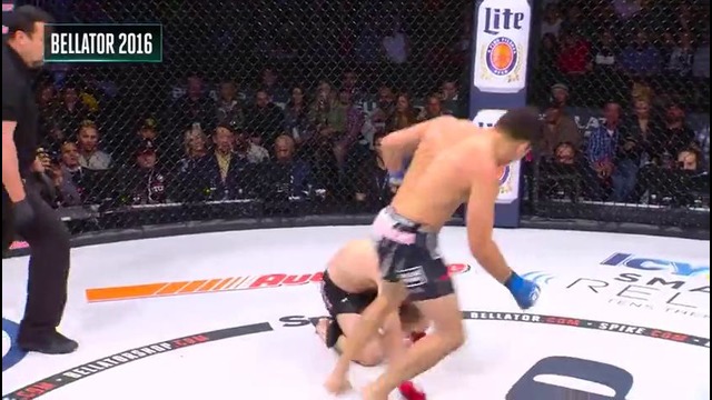 Best of Bellator – 2016